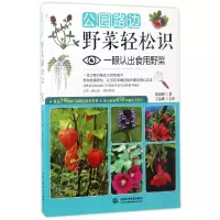 音像公园路边野菜轻松识(一眼认出食用野菜)郑丽妞