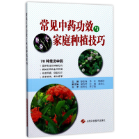 音像常见功效与家庭种植技巧编者:郁东海//朱江//顾建钧