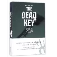 音像死钥匙(美)D.M.普利|译者:黄勇民
