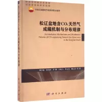 音像松辽盆地含CO2天然气成藏机制与分布规律柳少波 等 著