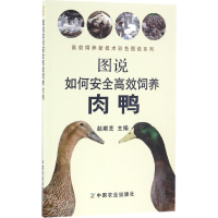 音像图说如何安全高效饲养肉鸭赵献芝 主编