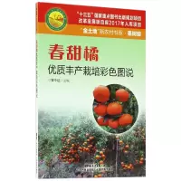 音像春甜橘优质丰产栽培彩色图说/金土地新农村书系编者:曾令达