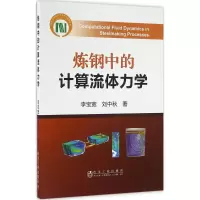 音像炼钢中的计算流体力学李宝宽,刘中秋 著