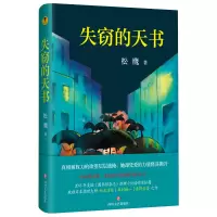 音像失窃的天书(精)松鹰