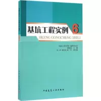 音像基坑工程实例龚晓南 主编