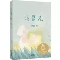 音像流星花冰波