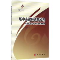 音像塔中志留系沥青砂岩流体微观分布特征及聚集规律宋荣彩 著