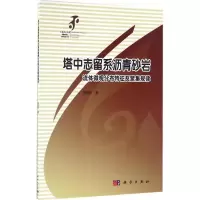 音像塔中志留系沥青砂岩流体微观分布特征及聚集规律宋荣彩 著
