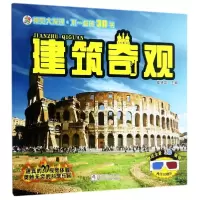 音像建筑奇观/视觉大发现不一样的3D书总主编:崔钟雷