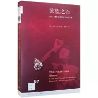 音像石(美)汤姆·佐尔纳(Tom ZoelIner) 著;麦慧芬 译