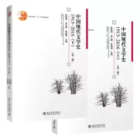 音像中国现代文学(下)共2册编者:朱栋霖//吴义勤//朱晓进