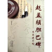 音像赵孟頫胆巴碑水写练习帖魏文源