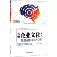 音像构建企业文化张其金 编著
