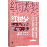 音像红楼梦整本书阅读与研习手册钮小桦