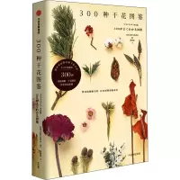 音像300种干花图鉴作者