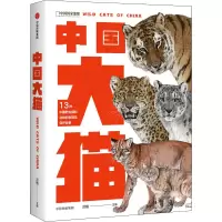 音像中国大猫作者