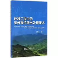 音像环境工程中的纳米零价铁水处理技术王向宇 著