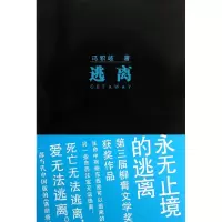 音像逃离冯积岐