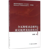 音像含瓦斯煤动态破坏致灾机理及防治技术袁瑞甫 著