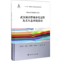 音像武汉城市群城市化过程及其生态环境效应焦伟利 等 著