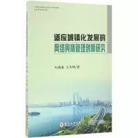 音像适应城镇化发展的网络舆情管理创新研究叶战备,王生坤 著