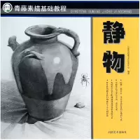 音像静物/青藤素描基础教程河南省青藤书画艺术中心
