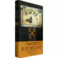 音像收藏与鉴赏(上下)/主人丛书主编:祝少华