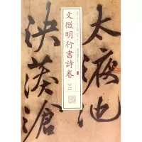 音像文徵明行书诗卷(2)/书法经典放大墨迹系列上海书画出版社