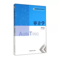 音像审计学(应用型高等院校会计系列教材)杨艳琴