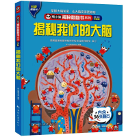 音像揭秘我们的大脑 全新·全彩升级版熊小猫童书馆 编