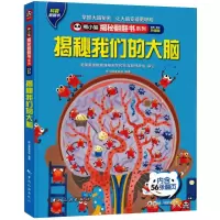音像揭秘我们的大脑 全新·全彩升级版熊小猫童书馆 编