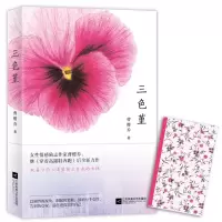 音像三色堇曹樱乔