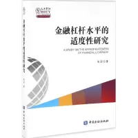 音像金融杠杆水平适度研究朱澄 著