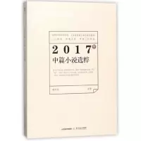 音像2017年中篇小说选粹编者:杨庆祥