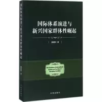 音像国际体系演进与新兴群崛起查晓刚 著