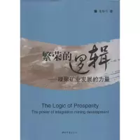 音像繁荣的逻辑朱华平 著