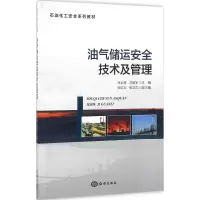 音像油气储运安全技术及管理徐玉朋,竺振宇 编著