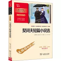 音像契诃夫短篇小说选(俄罗斯)契诃夫