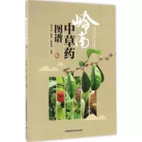 音像岭南草图谱郑小吉,饶军,林伟波 主编