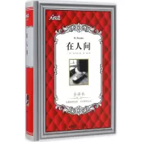 音像在人间(苏)高尔基 著;李蟠 译