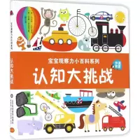 音像认知大挑战