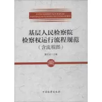 音像基层检察权运行流程规范魏宝成 主编