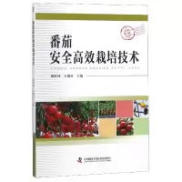 音像番茄安全高效栽培技术编者:隋好林//王淑芬