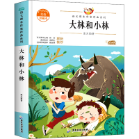 音像大林和小林 美绘珍藏本张天翼