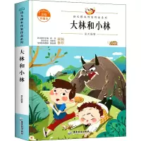 音像大林和小林 美绘珍藏本张天翼