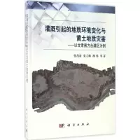 音像灌溉引起的地质环境变化与黄土地质灾害张茂省 等 著