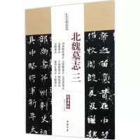 音像北魏墓志陈钝之 主编