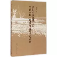 音像乡村小说视域下的当代农村土地制度变迁书写研究陈国和 著