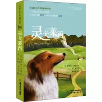 音像灵犬莱西(美)埃里克·奈特