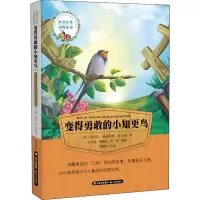 音像变得勇敢的小知更鸟(美)克拉拉·迪林厄姆·皮尔逊